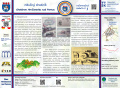 info 1